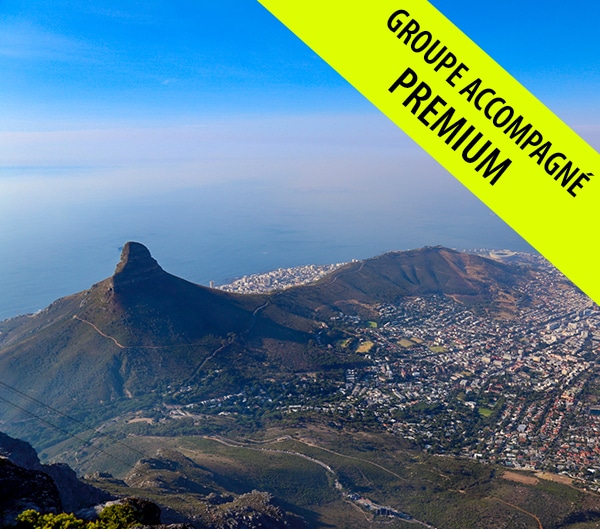 Miniature Afrique du Sud Groupe Accompagne